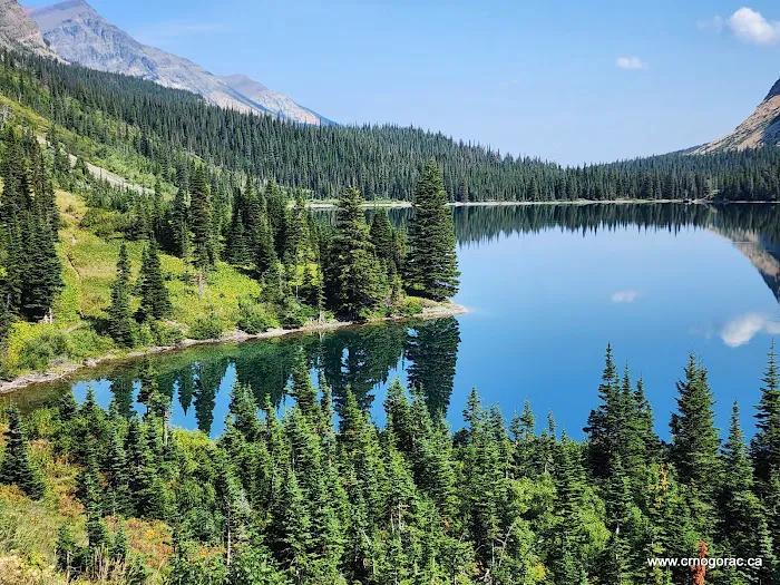 Elizabeth Lake Head Campground Picture 8