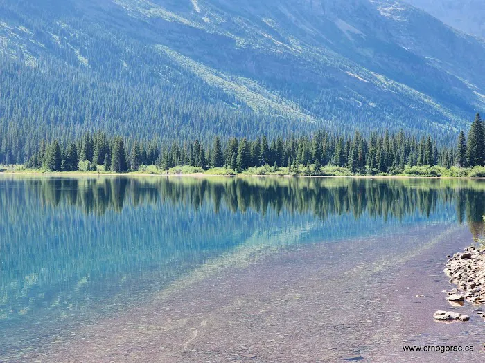 Elizabeth Lake Head Campground Picture 5