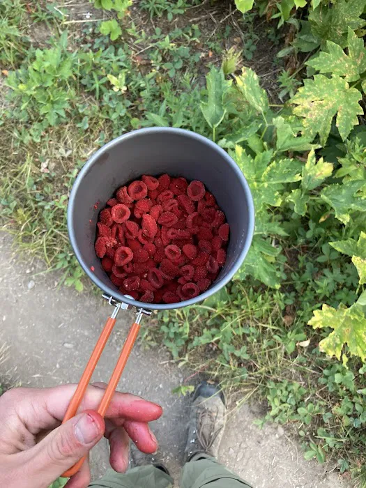 Glenns Lake Campground Picture 1