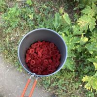 Glenns Lake Campground ico