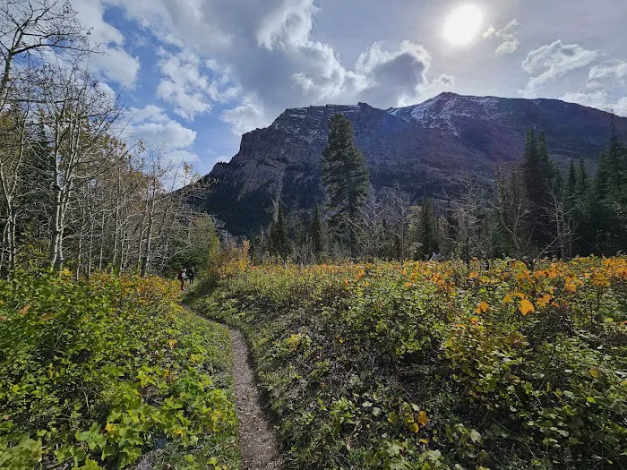 Cosley Lake Campground Picture 10