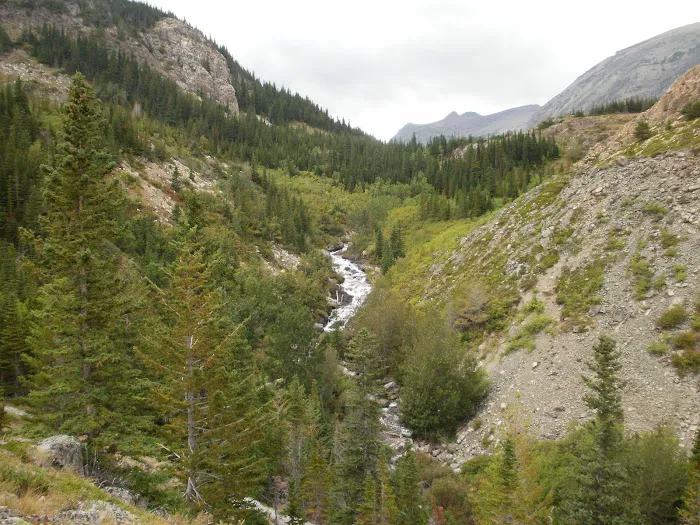 Poia Lake Campground Picture 6