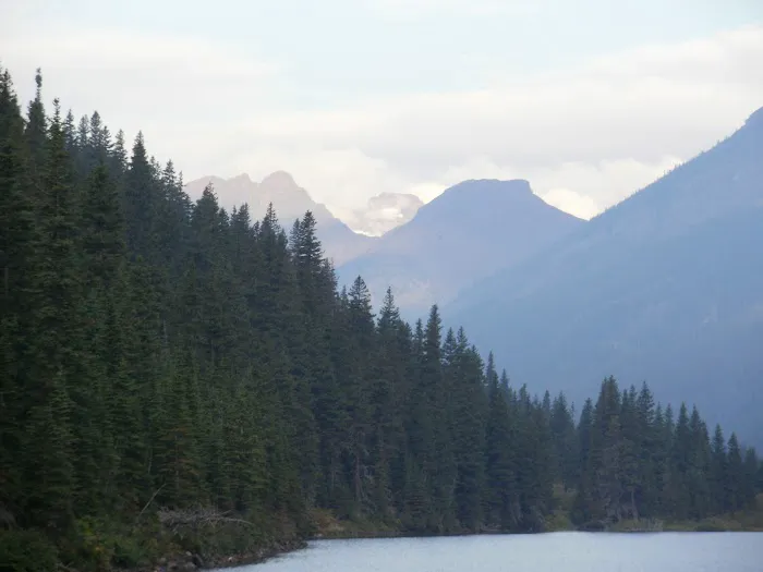 Poia Lake Campground Picture 5