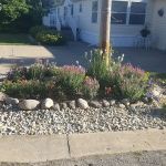 Meadow Lane Village Developers