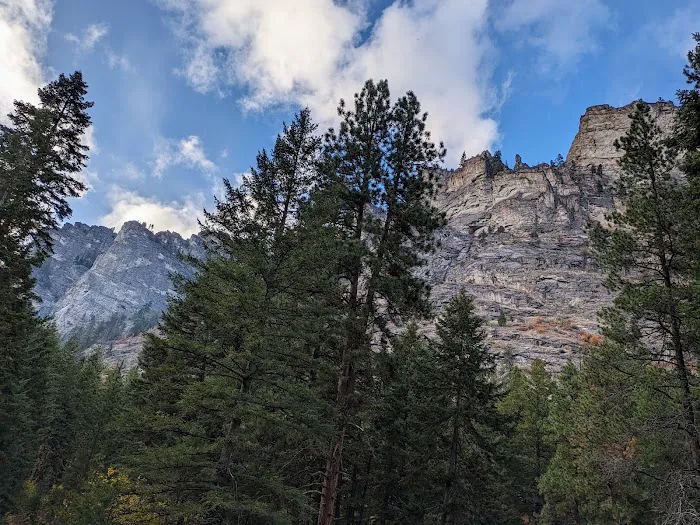 Blodgett Campground Picture 2