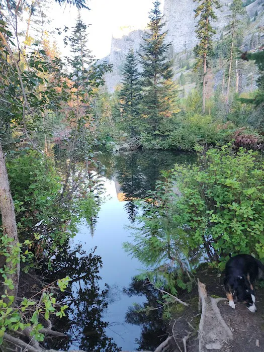 Blodgett Campground Picture 6