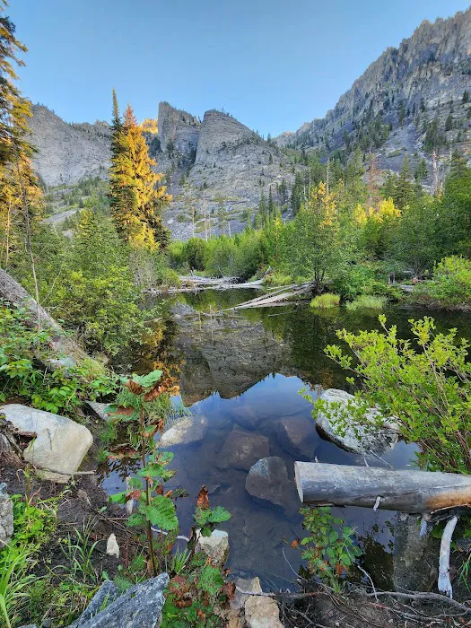 Blodgett Campground Picture 4