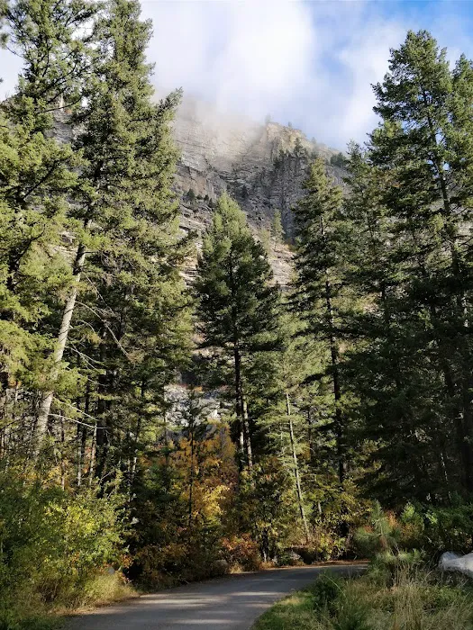 Blodgett Campground Picture 8