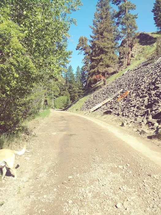 Siria Campground Picture 6