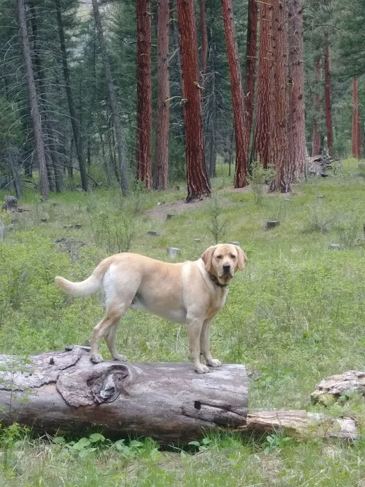 Siria Campground Picture 5