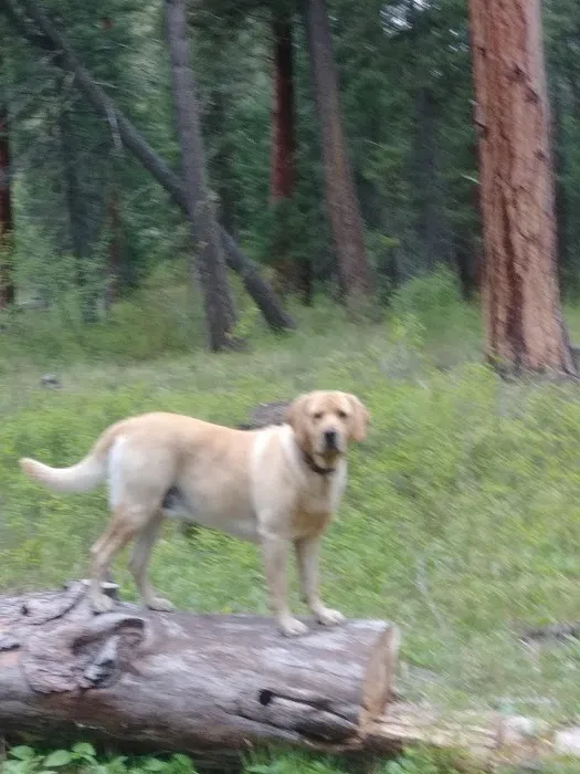 Siria Campground Picture 8