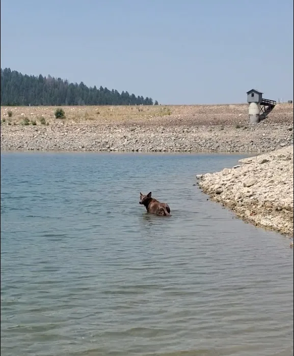 Bighorn Campground Picture 4