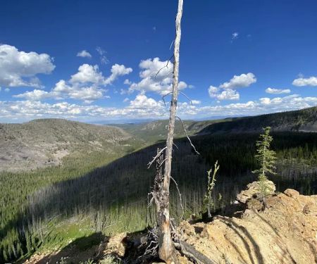 Crystal Creek Campground