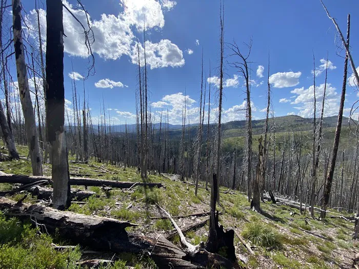 Crystal Creek Campground Picture 3