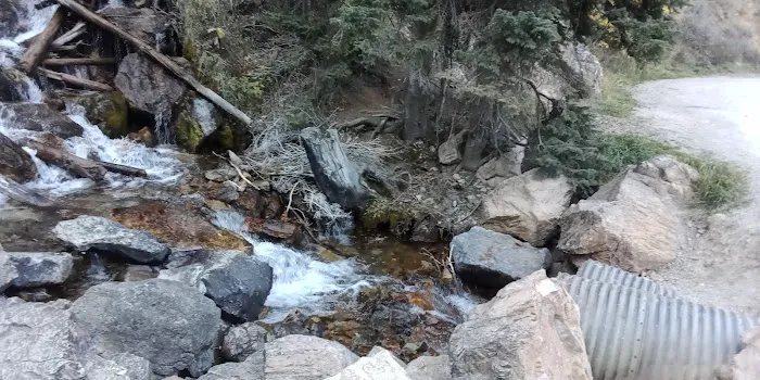 Crystal Creek Campground Picture 4