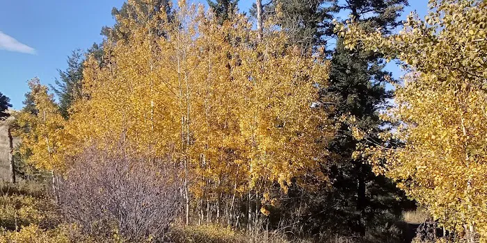 Crystal Creek Campground Picture 8