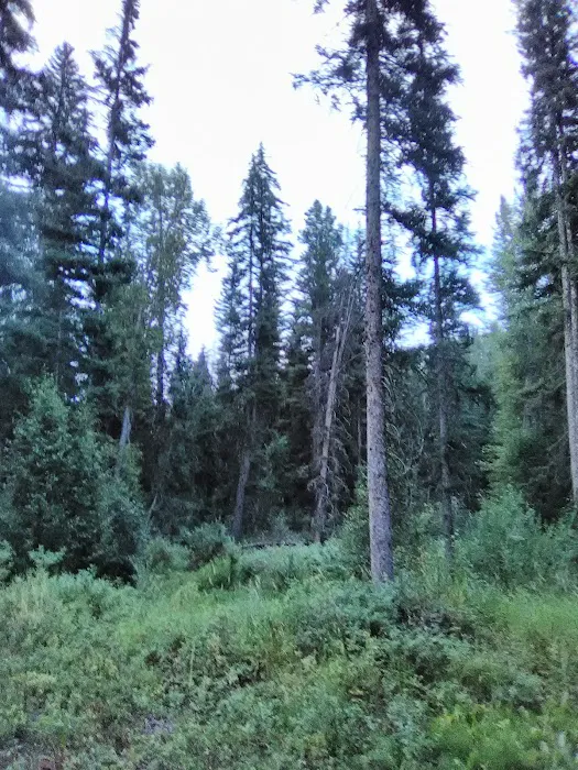 Stony Creek Campground Picture 7