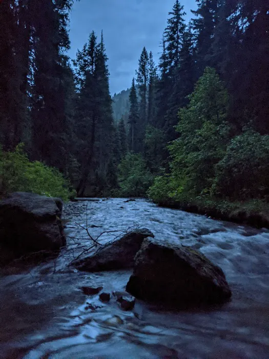 Black Bear Campground Picture 2