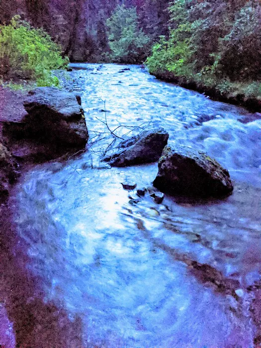 Black Bear Campground Picture 1