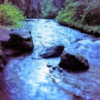 Black Bear Campground ico