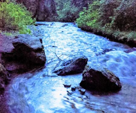 Black Bear Campground