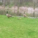 Creek Valley Mobile Home Park