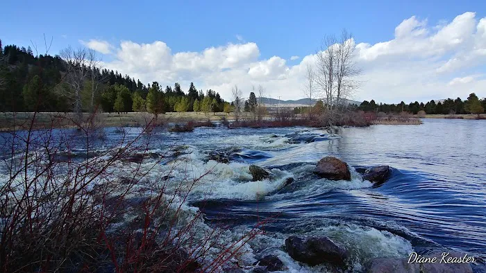 Clearwater Crossing Campground Picture 4