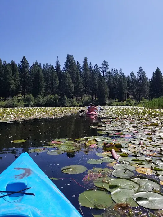 Placid Lake Campground Picture 8