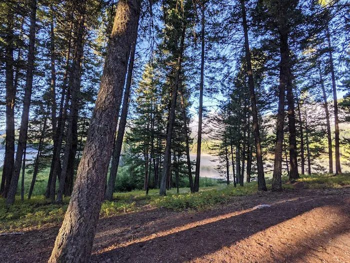 Salmon Lake Campground Picture 6