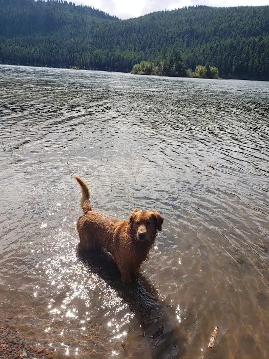 Salmon Lake Campground Picture 2