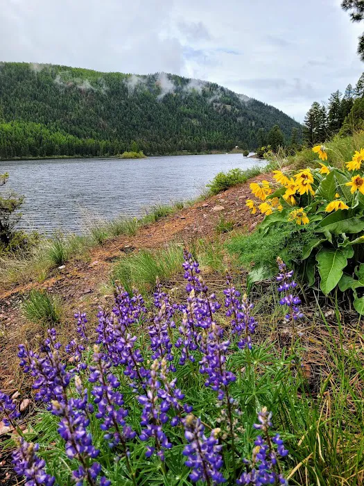 Salmon Lake Campground Picture 9