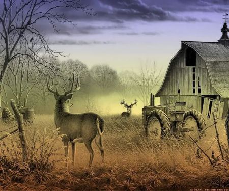 Whitley Mobile Home Park LLC