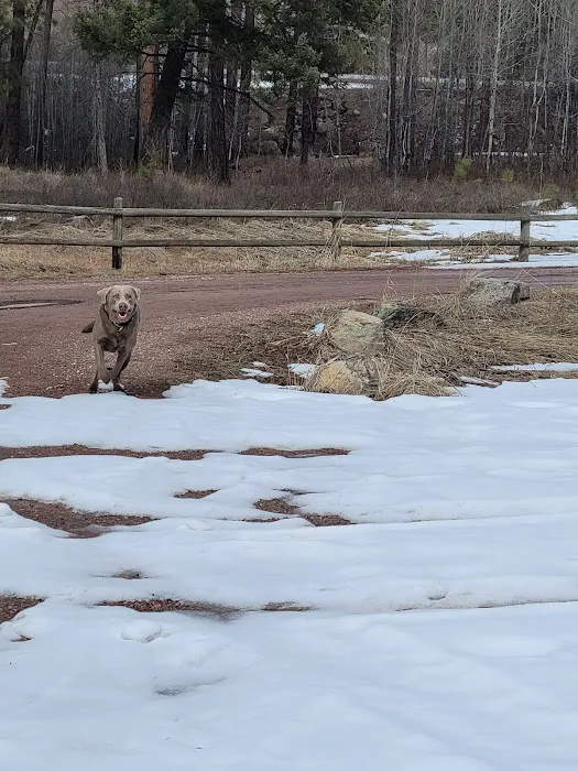 Russell Gates Memorial Campground Picture 2