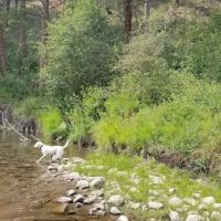 Monture Campground ico