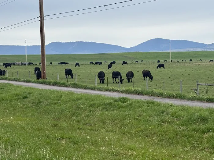 Seeley Lake Area Picture 1