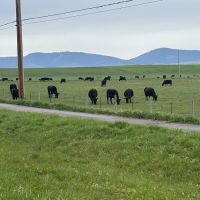 Seeley Lake Area ico