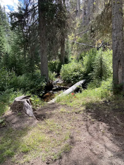 Poet Creek Campground Picture 4