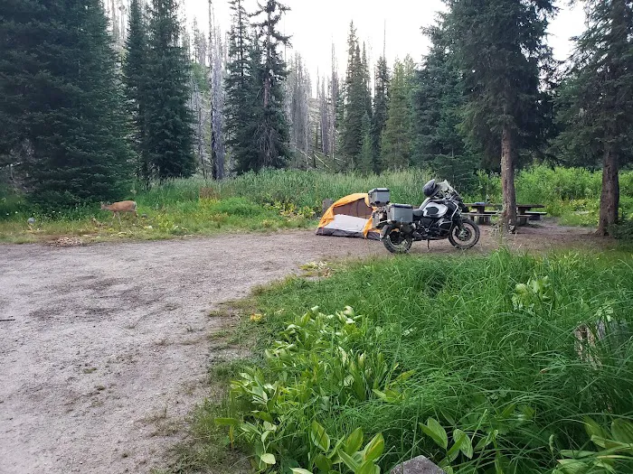 Poet Creek Campground Picture 1