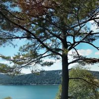 Mallard Creek Campground ico