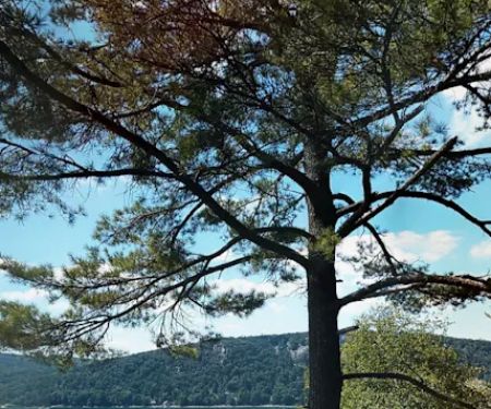 Mallard Creek Campground