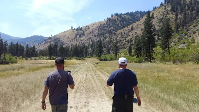 Mackay Bar Campground Picture 1