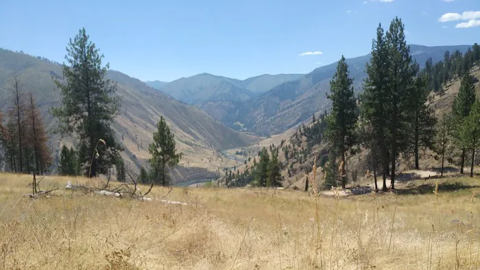 Mackay Bar Campground Picture 5