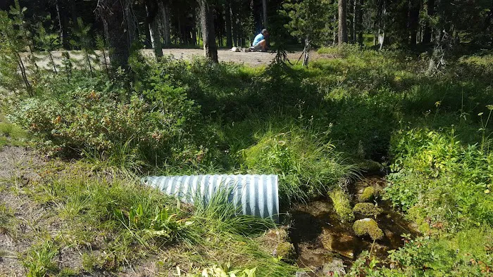 Observation Point Campground Picture 5