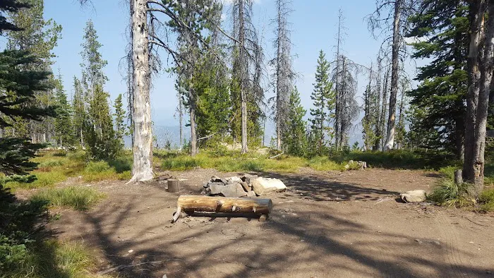 Observation Point Campground Picture 6