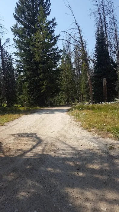 Observation Point Campground Picture 2