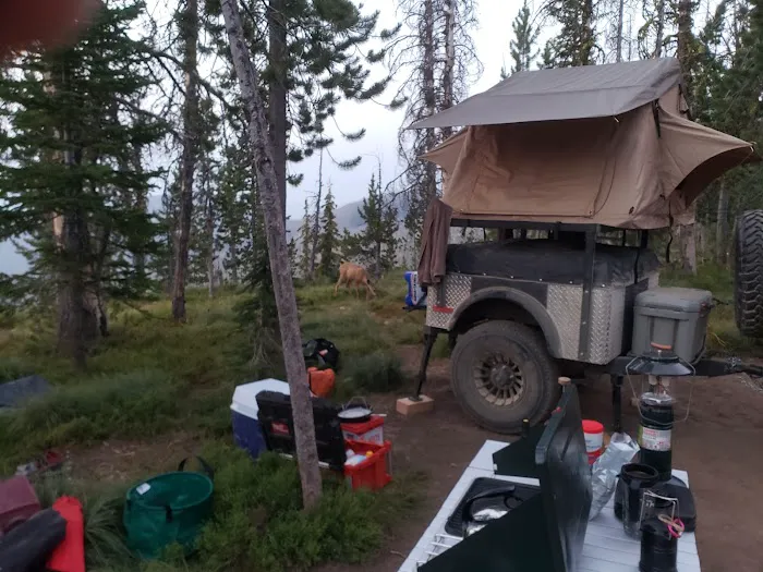 Observation Point Campground Picture 10