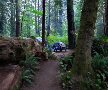 Mill Creek Campgrounds