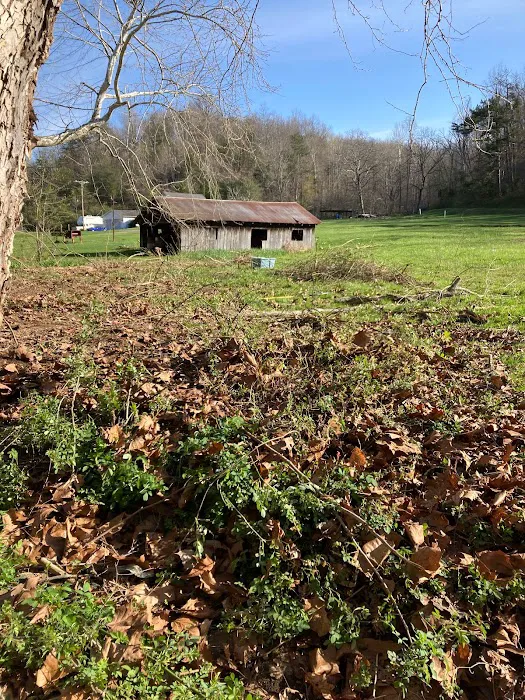 Rush Creek RV Camp Picture 9