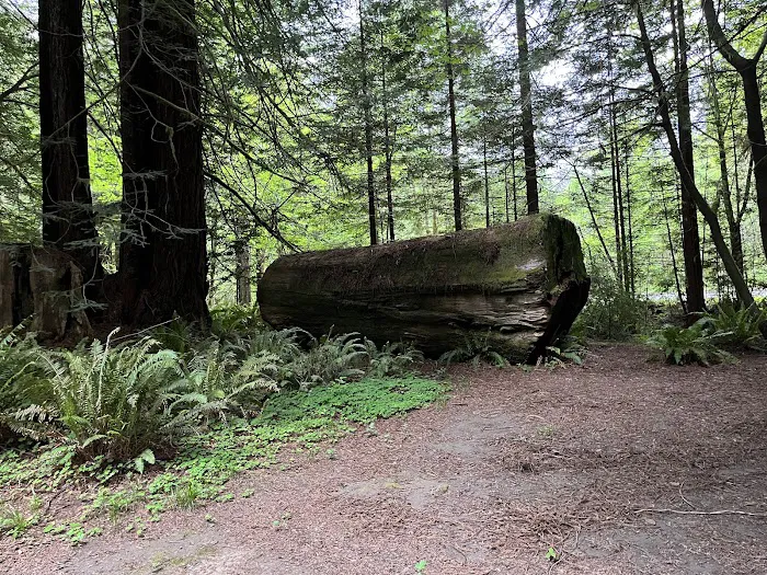 Mill Creek Campground Picture 7