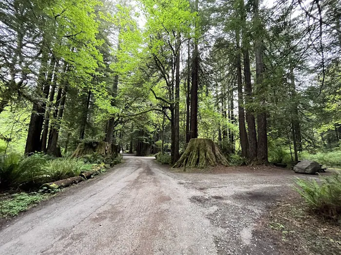 Mill Creek Campground Picture 6